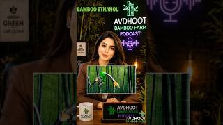 “Bamboo Ethanol – भविष्य का ग्रीन फ्यूल” #youtubeshorts    #viral #trending #podcast #bamboo1 #yt
