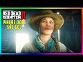 What REALLY Happened To Sadie Adler After You Beat Red Dead Redemption 2? (RDR2 Mystery Solved)