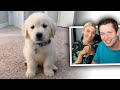 I Showed My Fiancé Cooper&#39;s Puppy Videos