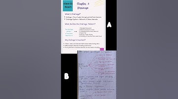 Handwritten notes vs typed notes 📝 which is best