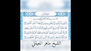 #محتوى_جديد_القرأن_الكريم سورة التين لفضيلة الشيخ ماهر المعيقلي