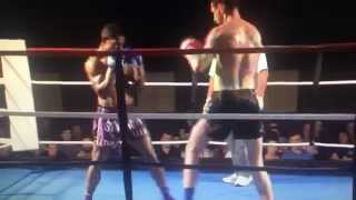 Warning Graphic: Roundhouse Kick Knocks out Fighter Cold Net Worth