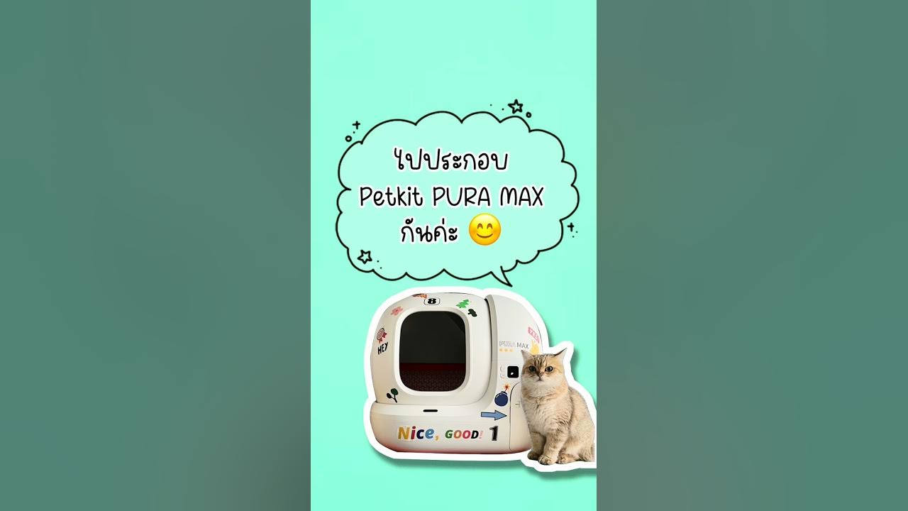 review PETKIT PURA MAX 2024 YouTube