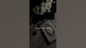 قران كريم بصوت الشيخ ماهر المعيقلي