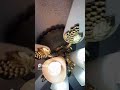 Landon ceiling fan reuploaded