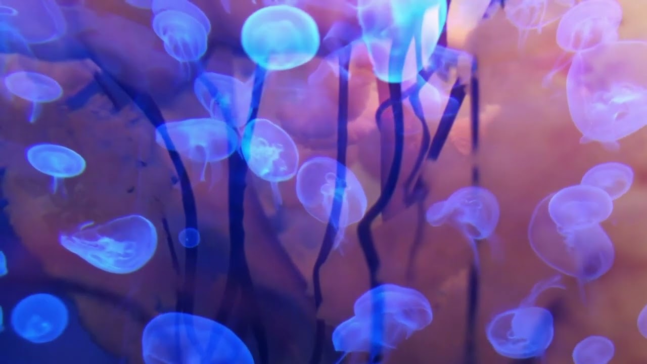 A Blue Dnb Liquid Mix To Wake N' Break To