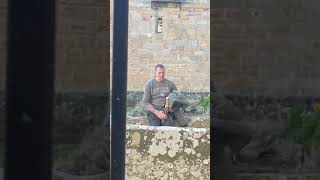 Кто там спрятался | День 472 #español #spain #испания