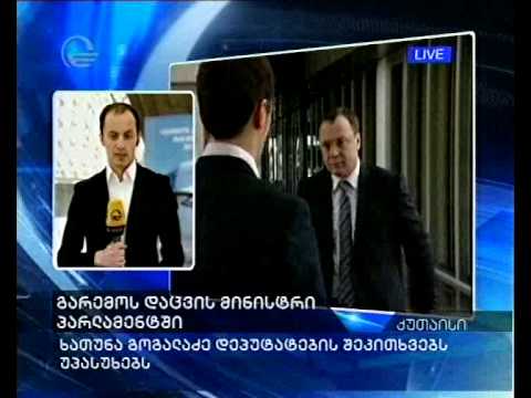 გარემოს დაცვის მინისტრი პარლამენტში