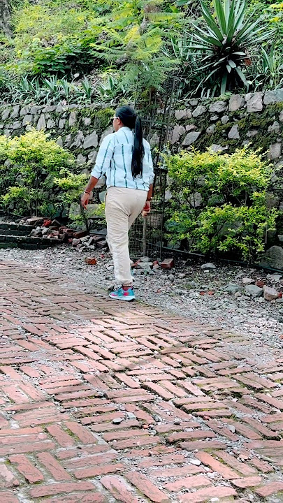 Dil Kho Gaya Kya Ho Gaya Mera Dil Kahin Se La Do Sanam Laha Do🥺￼