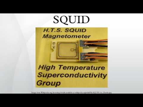 Video: ¿Qué es la magnetometría de calamar?