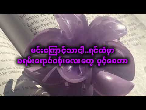 Purple - pGb x Wink / myanmar language