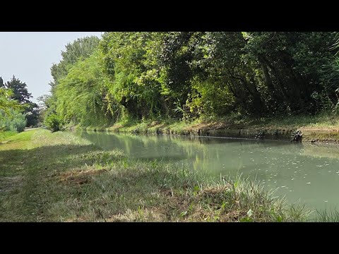 السلام عليكم ورحمة الله تعالى وبركاته المتابعين ديالي لعزاز مرحبا بيكم كاملين وستكون مودخلات