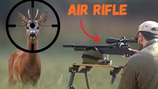 Can you KILL a DEER with an AIR RIFLE? Lets find out! screenshot 3