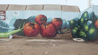 Mural Cierre Perimetral Futura Estación Cardenal Caro