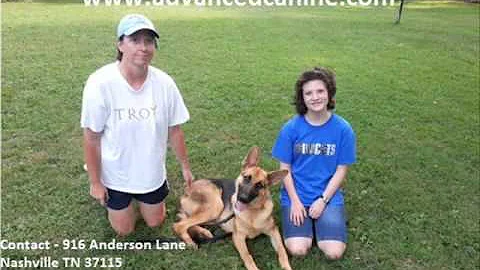 Dog Trainer Nashville