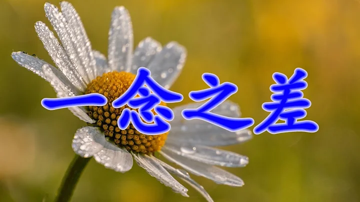 [细说人生] (粤语，中文字幕) – 一念之差。老子说：“大道甚夷，而人好径。”夷：平坦。径：不正之路。对于人的行为来说，“径”就是指行为不正。而行为不正，是从不正的一个念头开始的…#人生 #一念之差 - 天天要闻