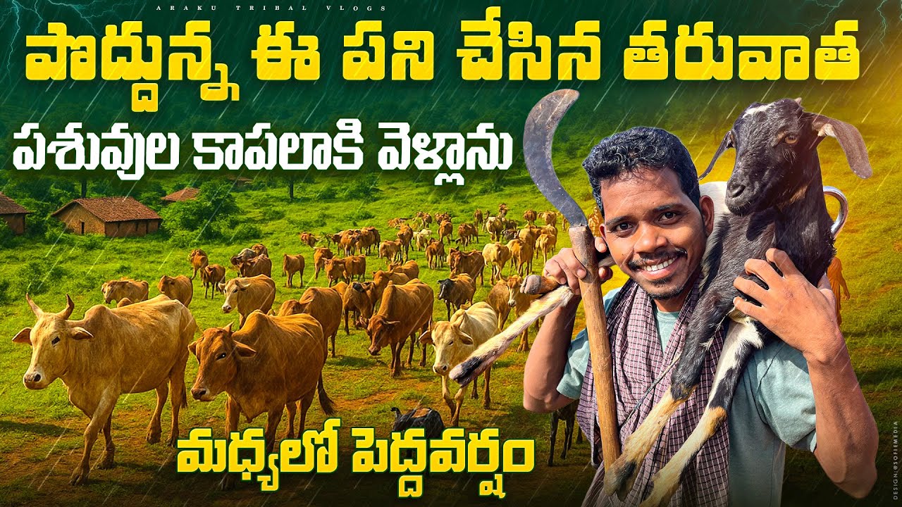 ఈ రోజు మధ్యాహ్నం భోజనం మాకు ఇదే || Araku Tribal Vlogs 💕🌱