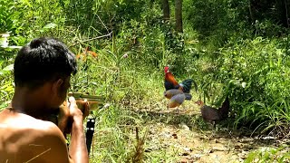 Full - video: HUNT & FIGHT 2 DAYS IN THE JUNGLE SET TRAPS FOR WILD JUNGLE FOWL