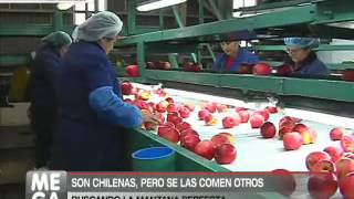 Frutas chilenas, pero no para chilenos - MEGANOTICIAS 2012