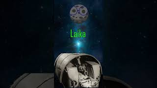 Laika #Short  #curiosidades #universo