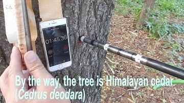 Electric increment core sampling in three minutes (3 min.) D.P. Cosplay ver.