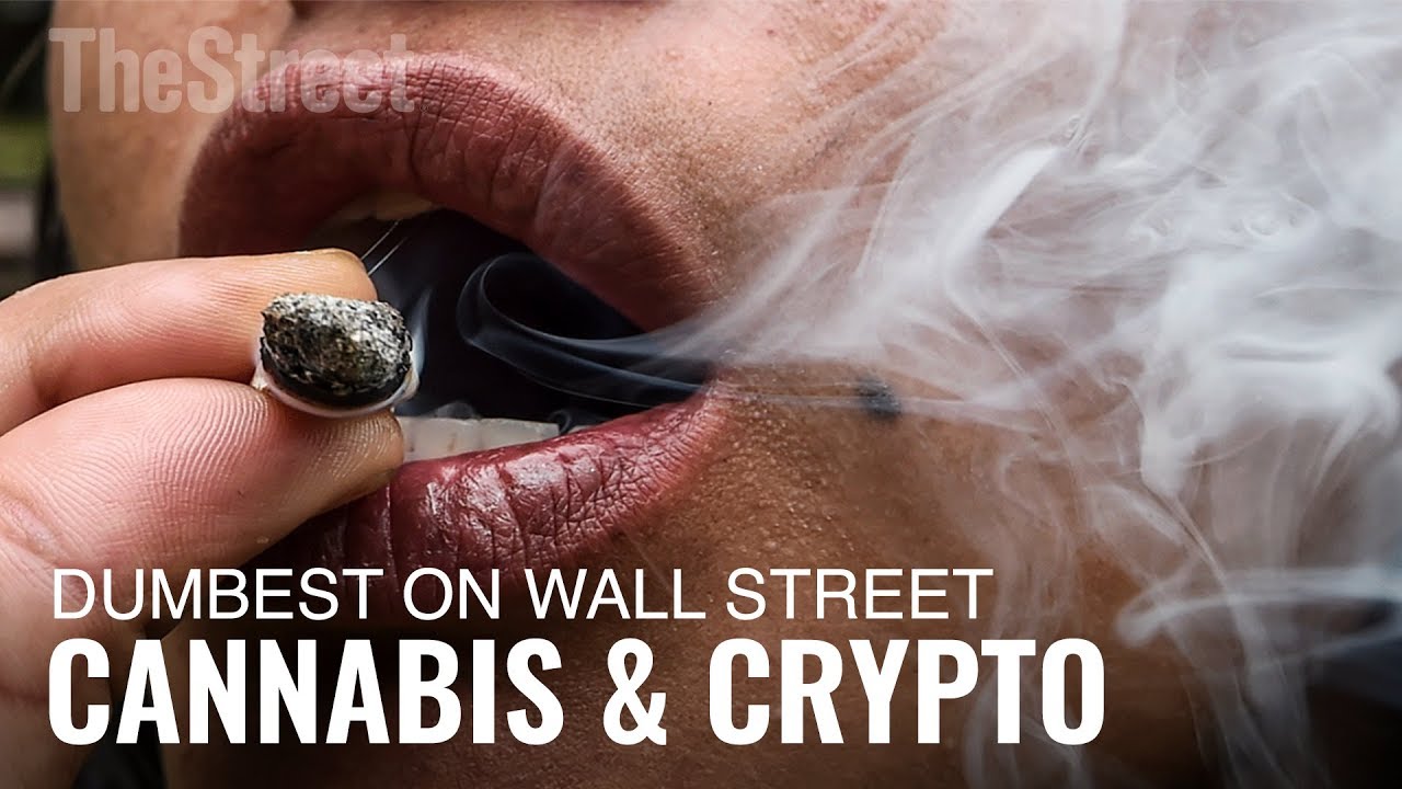 It’s Dumb Not to Invest in Alternative Plays Like Cannabis and Crypto It’s Dumb Not to Invest in Alternative Plays Like Cannabis and Crypto