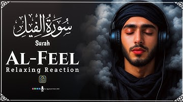 Surah Al-Feel (سورة الفيل) | Surah Fil | Surah Feel | Surah Al Fil