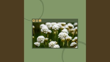 Sublime Backdrops for Post Work Relaxation