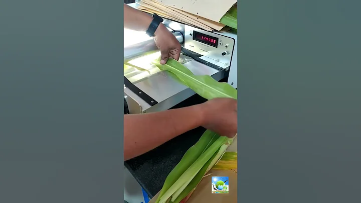 Leaf area & leaf area index measurement