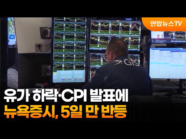 뉴욕증시, 유가 하락·CPI 발표에 5일 만 반등 / 연합뉴스TV (YonhapnewsTV)