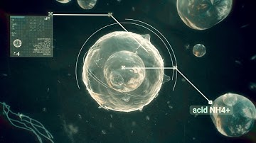 4K Animation | Infographic | Acid Nh4 | Molecule | Free Stock Video Footage