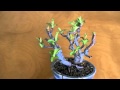 キミズミE（黄実酢実）実もの盆栽の販売と育て方・作り方 bonsai tree
