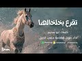 شيلة تقرع بخلخالها اداء صوت الفخامه متعب الخيل جديد2024حصريا