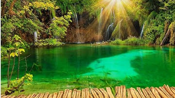 تلاوة جميلة لما تيسر من سورة النمل