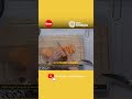 Një supë super e butë me thjerrëza dhe patate të ëmbël