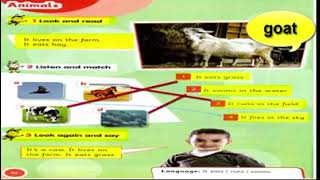 كونكت بلس الوحدة  الرابعة اولى ابتداءيconnect plus primary 1 term 1 unit4 ( On the farm )  lesson 1