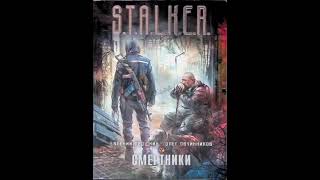 S. T. A. L. K. E. R.(аудиокнига) авторы:Евгений Прошкин, Олег Овчинников.. 