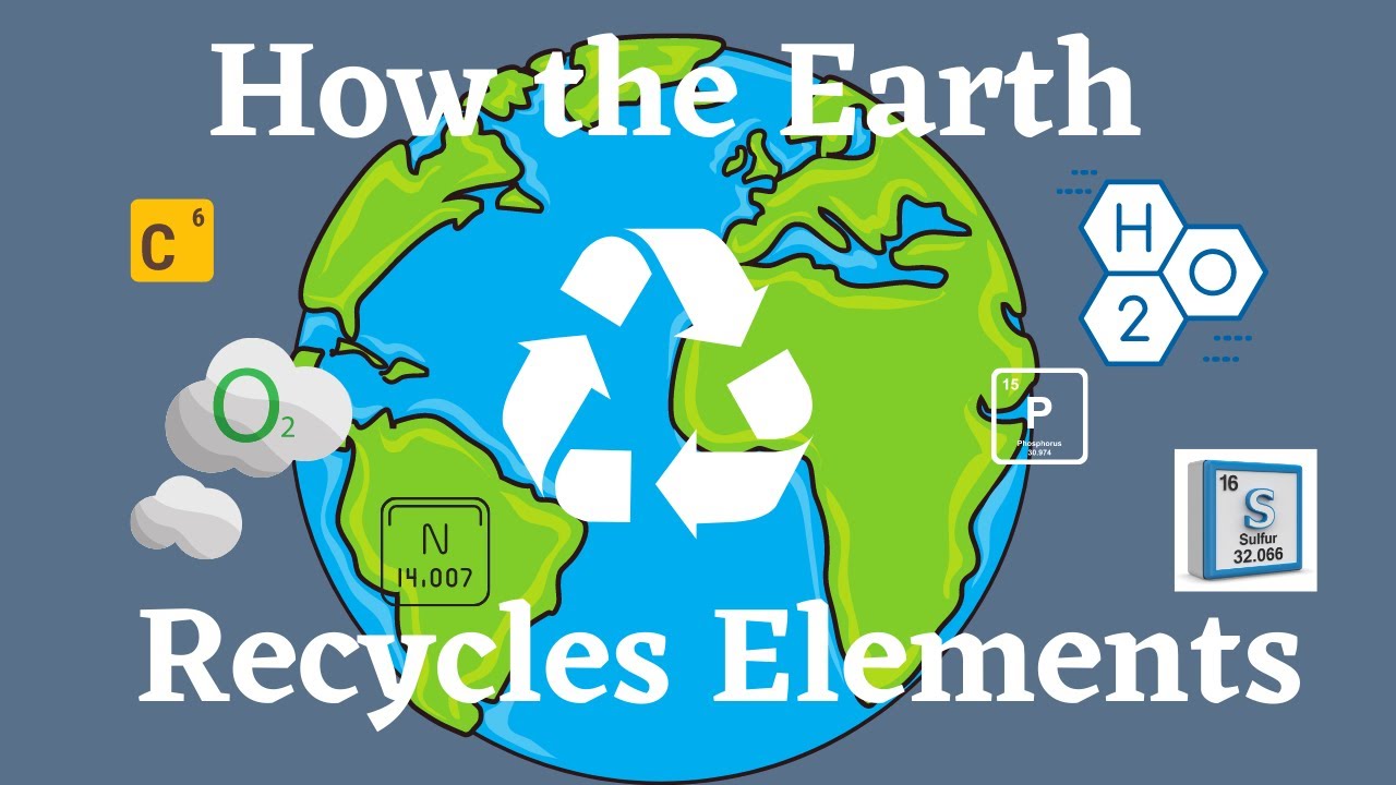 How the Earth Recycles Elements: Biogeochemical Cycles