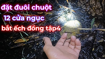 Đặt đuôi chuột 12 cửa ngục bắt ếch đồng -tập 4