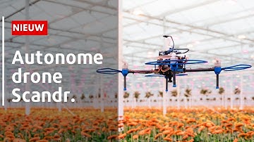 Autonome drone Scandr. | De toekomst van precisieteelt in gerbera