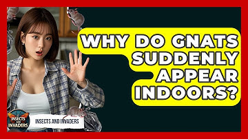 Why Do Gnats Suddenly Appear Indoors? - Insects and Invaders