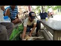 a poor paralysis street dog treatment#youtubevideo#