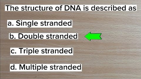 Can you answer these 15 basic mcqs on DNA?