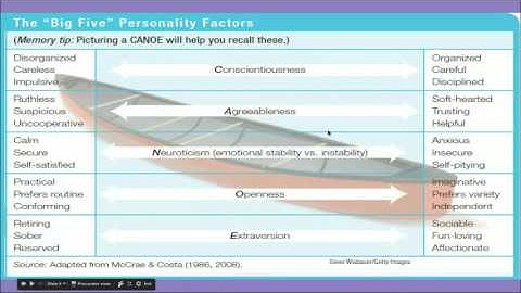 Which branch of personality theory focuses on characteristic patterns of behavior?