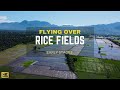 Flying over rice fields  inspirational music