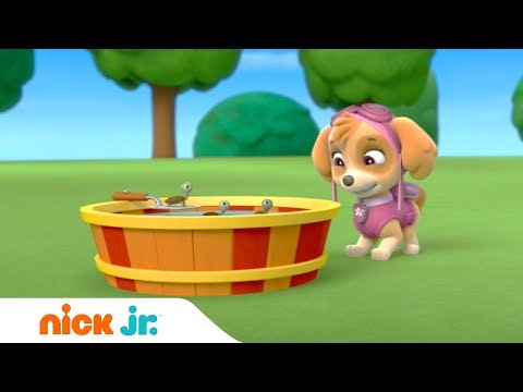 Щенячий патруль | Озеро черепашек | Nick Jr. Россия