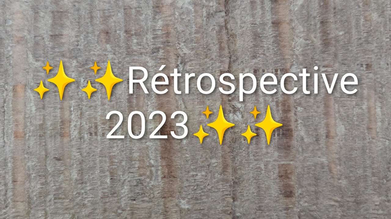 Diamond Painting Rétrospective DP terminés en 2023