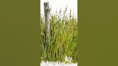 How to paint Grass in watercolour - quick and easy! #learnwatercolour #watercolourtechniques
