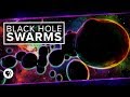 Exploring the Milky Way's Black Hole Swarm