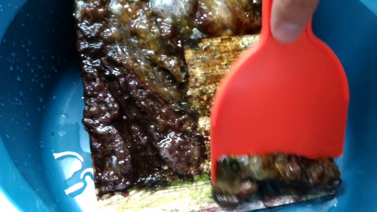 Saga Aquário Marinho - ATS Algae Scrubber continuação... - YouTube